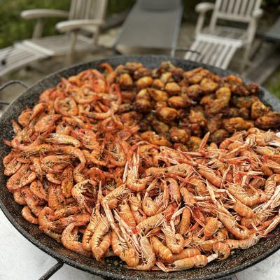 PAELLA BISCA TRAITEUR 9346